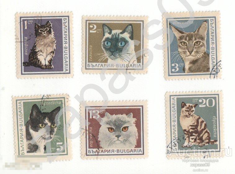 0078. Болгария. 1967г. Кошки. MiNr 1717-1722. Гашеные.