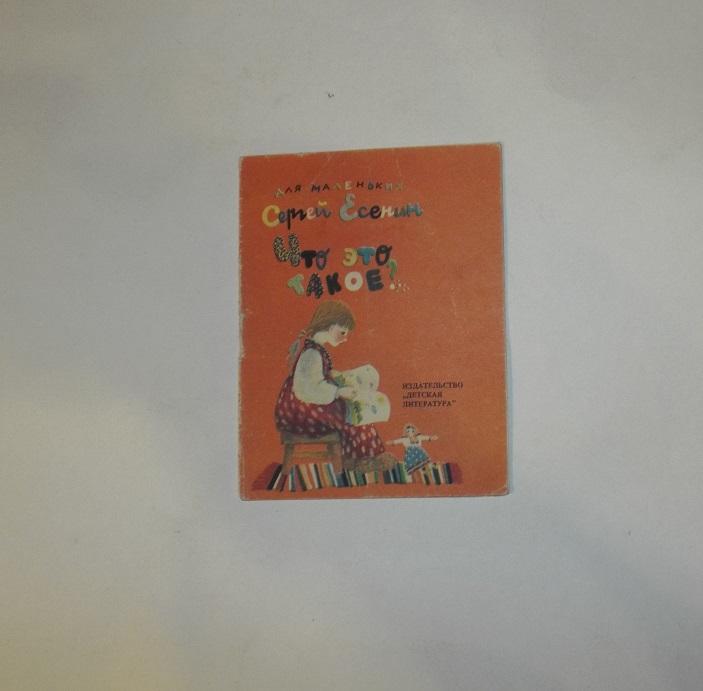Есенин Что это такое? Худ. Салиенко 1988 (серия Для маленьких) книжка-малышка