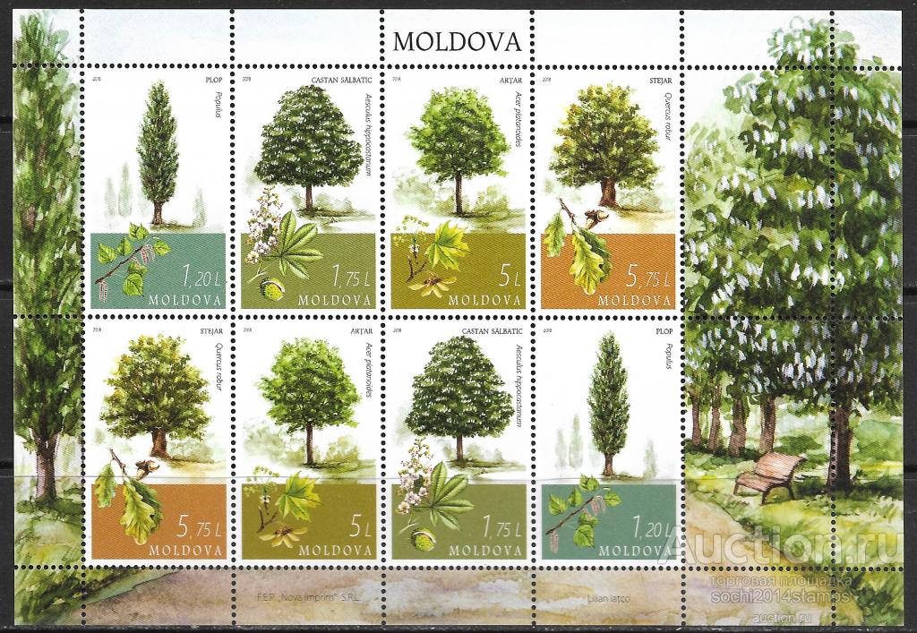 Молдавия. 2018 год. Флора Молдовы. Деревья. Малый лист