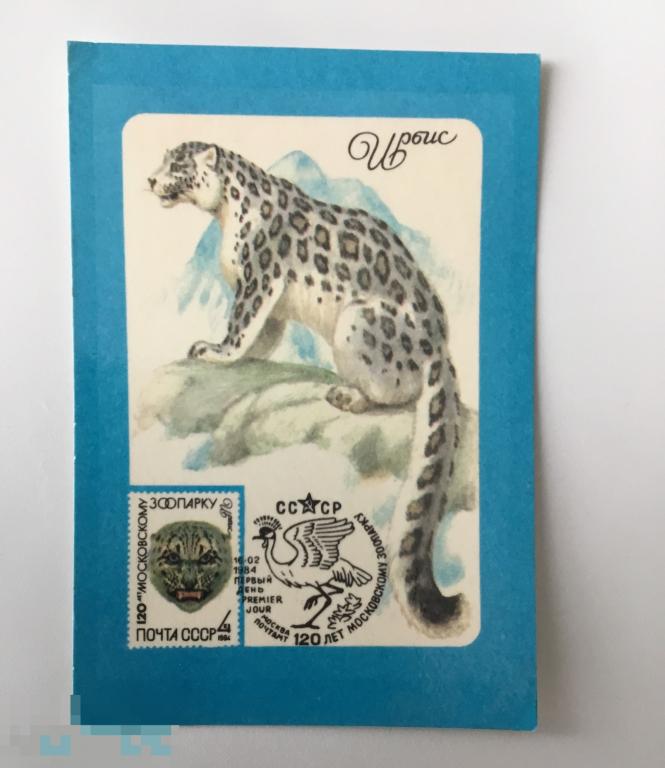 Календарик Дикие кошки. Хищники. Ирбис. 1985 г. 