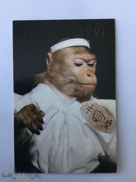 Календарик Обезьянка. Каратэ. 1991 г. 