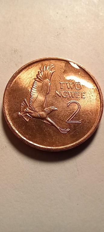 Замбия 2 нгве 1983 Боевой орел UNC