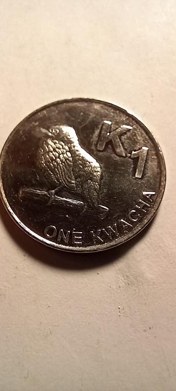 Замбия 1 квача 2012 unc ПТИЦА