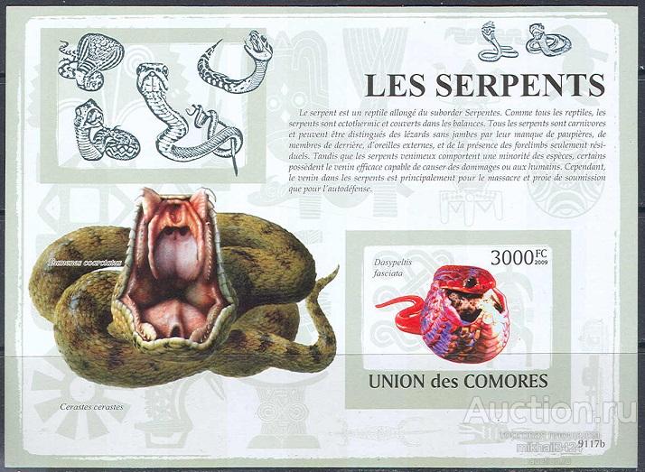А0197 ✅ Фауна Рептилии Змеи Пресмыкающиеся 2009 Коморы Блок б/з ** 30МЕ
