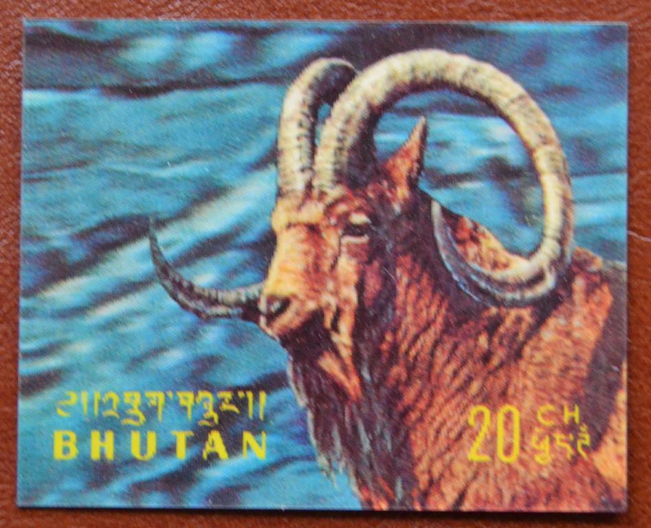Бутан 1970 год Фауна Альпийский козел Стерео марка