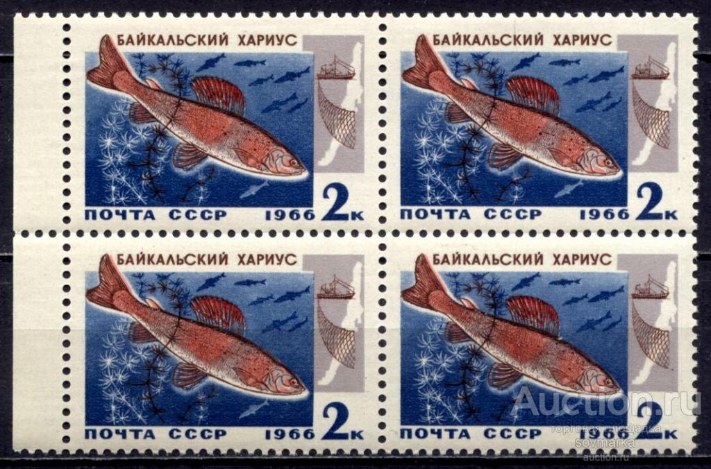 = СССР 1966 Фауна Рыбы Байкала Хариус 1мар** квартблок Св # 3399 |С2-37|