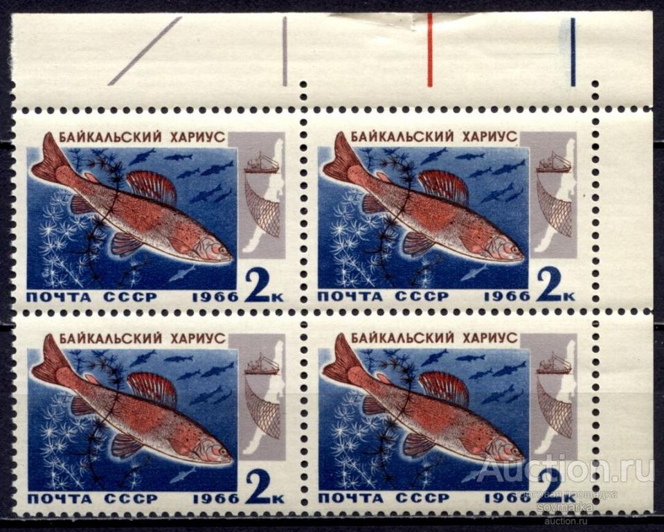 = СССР 1966 Фауна Рыбы Байкала Хариус 1мар** квартблок Св # 3399 |С2-41|