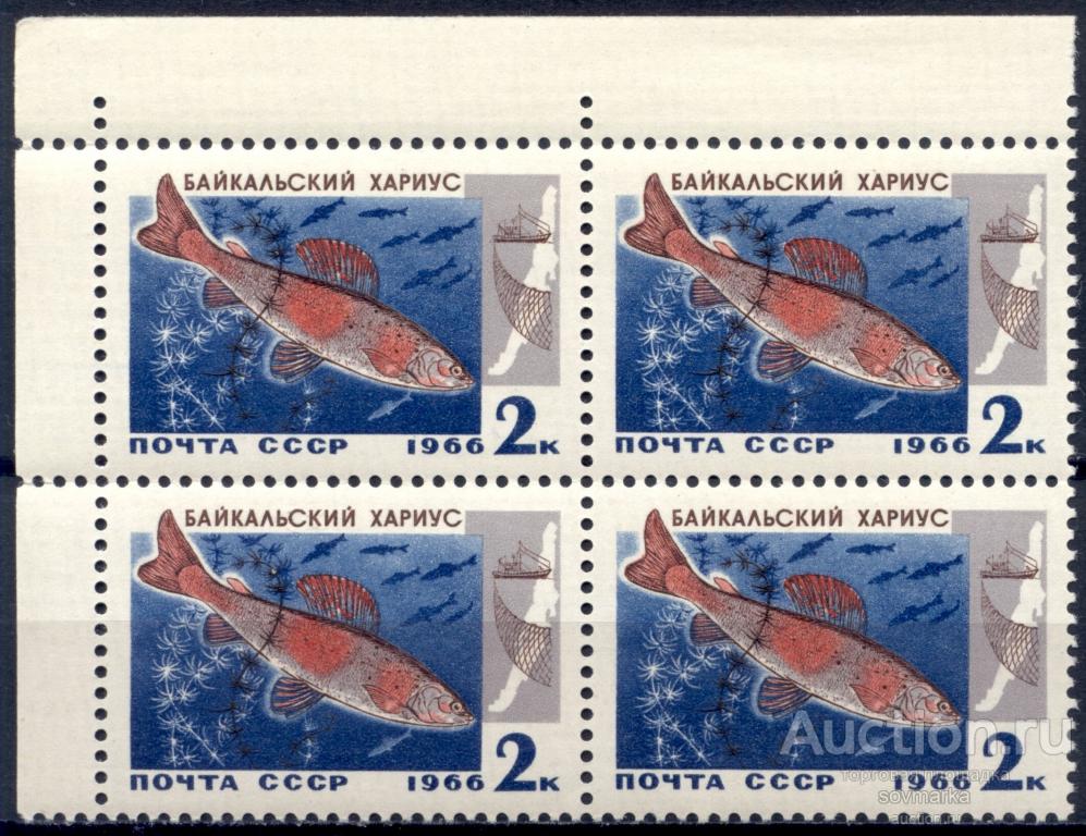 = СССР 1966 Фауна Рыбы Байкала Хариус 1мар** квартблок Св # 3399 |С2-41|