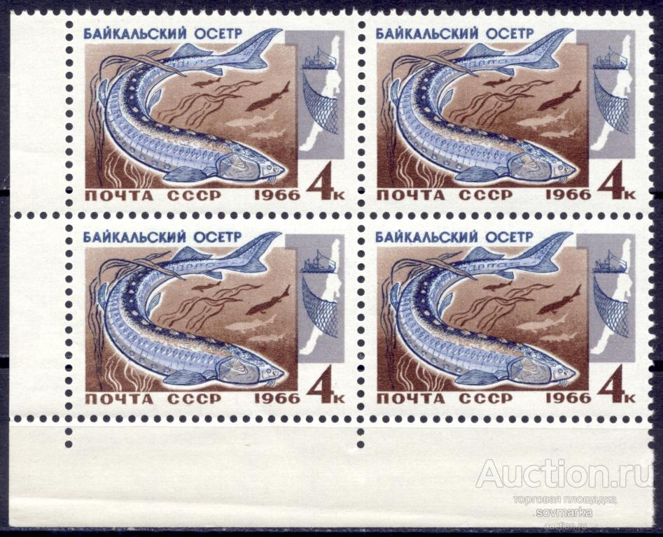 = СССР 1966 Фауна Рыбы Байкала Осетр 1мар** квартблок Св # 3400 |С2-54|
