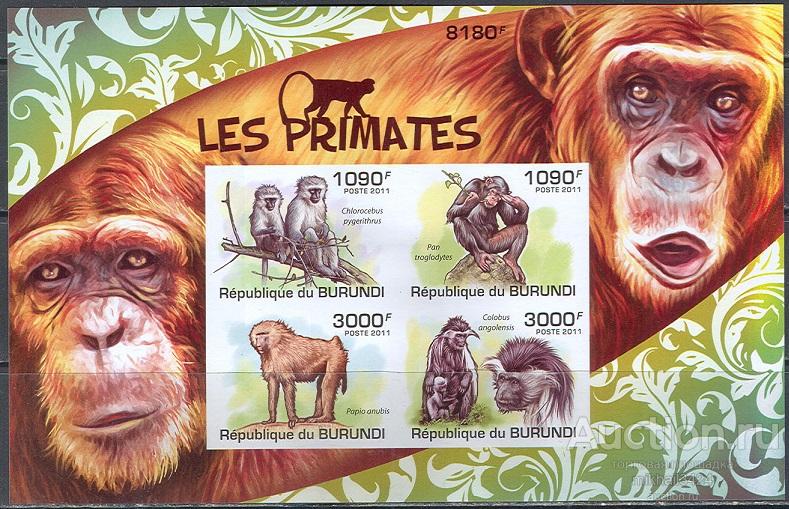 А0240 ✅ Фауна Животные Обезьяны Приматы 2011 Бурунди Блок б/з ** 22МЕ