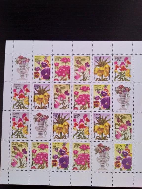 ДЕКОРАТИВНЫЕ   РАСТЕНИЯ  лист  1996г