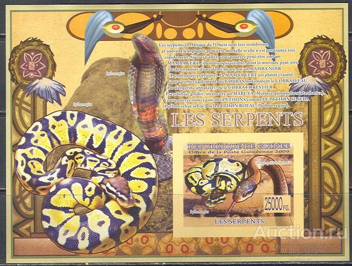 А0311 ✅ Фауна Животные Рептилии Змеи 2009 Гвинея Блок б/з ** 20МЕ