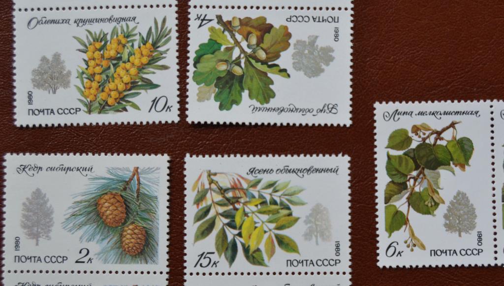 СССР 1980 год Флора Охраняемые породы деревьев и кустарников MNH @
