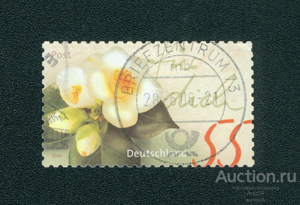 2004 г. ФРГ - Камелия яннаненсис (s5212)
