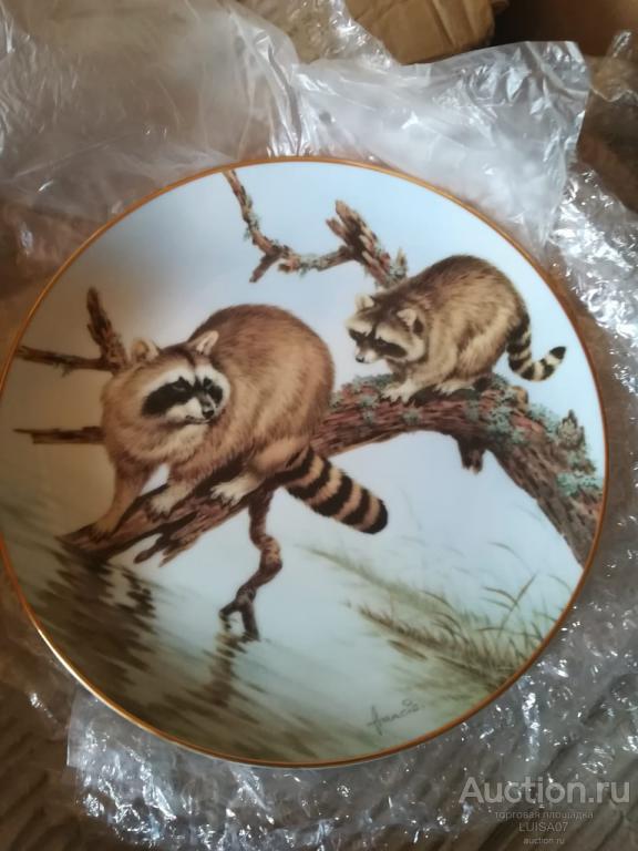 Тарелка настенная декоративная .Фарфор.Животные.Енот.