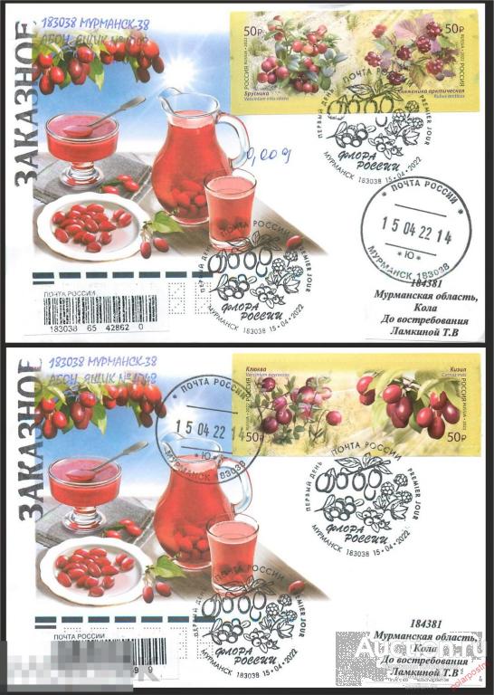 РОССИЯ 2022 2884-2887. Серия Флора России. Ягоды (Москва 101000) 