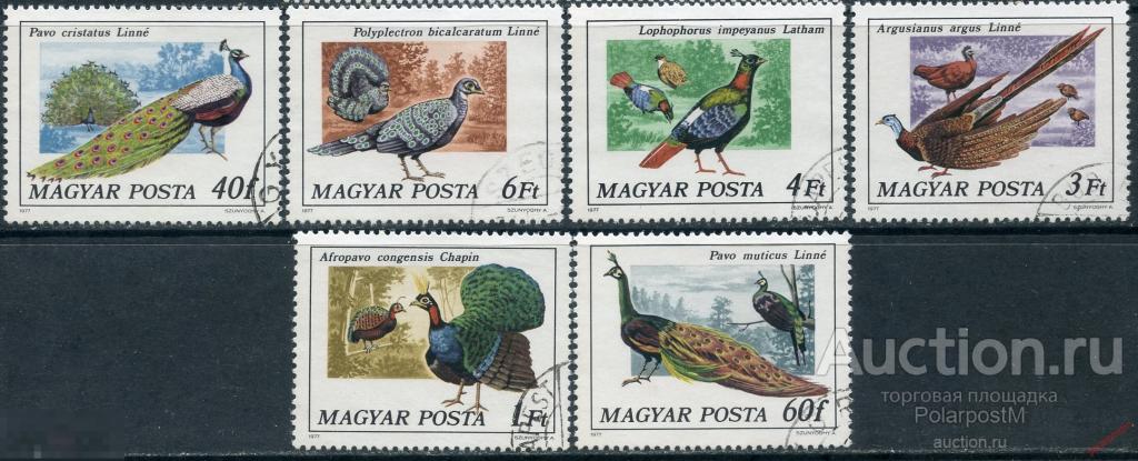 Y85 Венгрия 1977 3185-3190 Птицы - Павлины и фазаны 