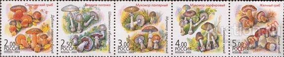 Y85 РОССИЯ 2003 876-880 Грибы-двойники. Флора. Растения 