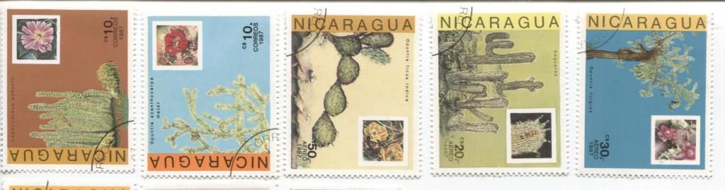1987 Никарагуа кактусы 7м.гаш