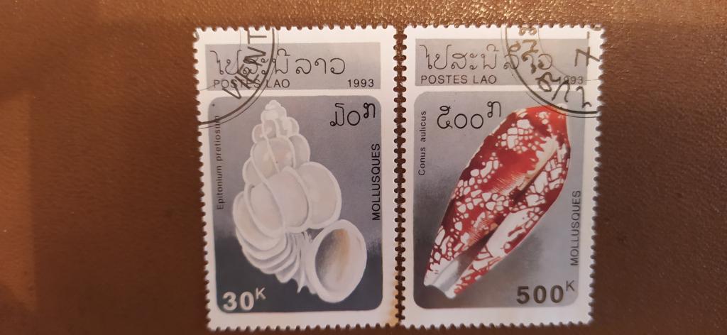 Марки Лаоса, 1993, Фауна, Ракушки