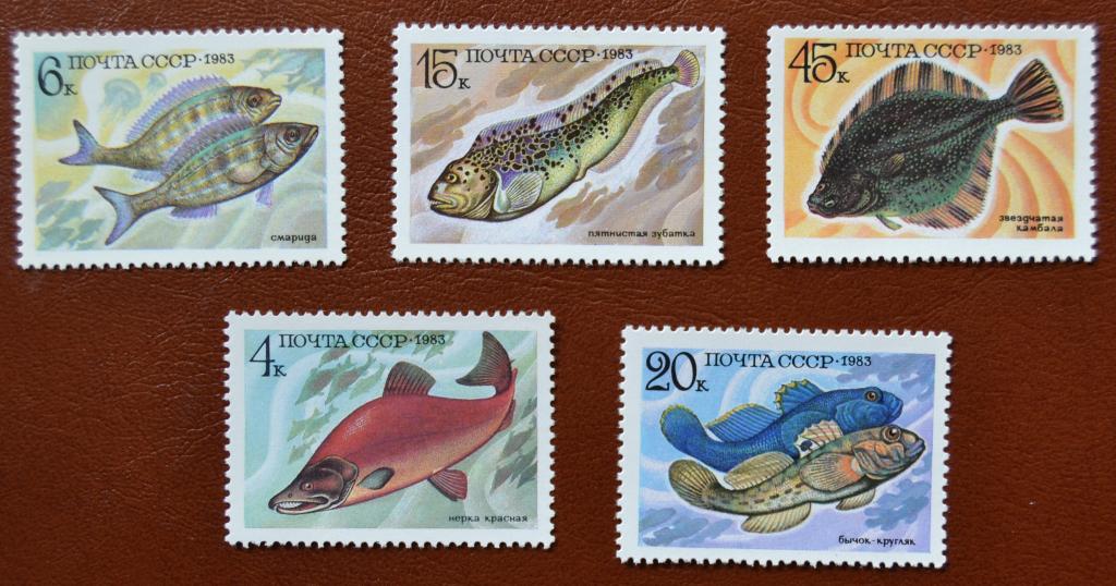 СССР 1983 год   Фауна Промысловые рыбы СССР  Полная серия  MNH@