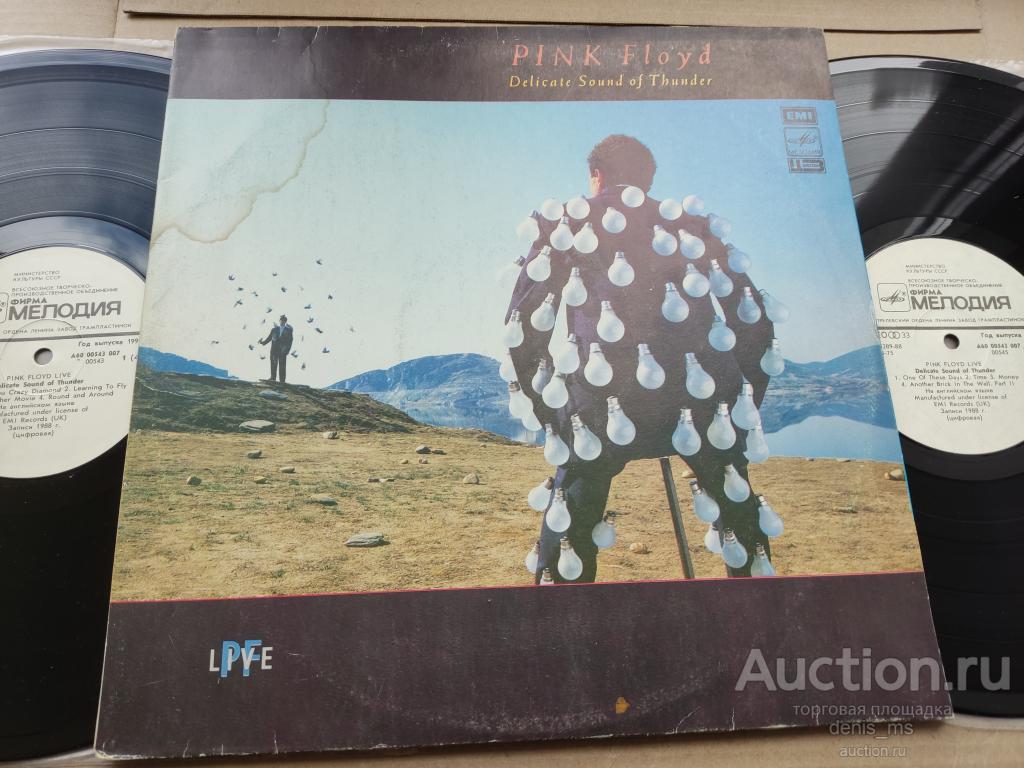 Pink Floyd / Delicate Sound Of Thunder - 91/RUS/EX/NM