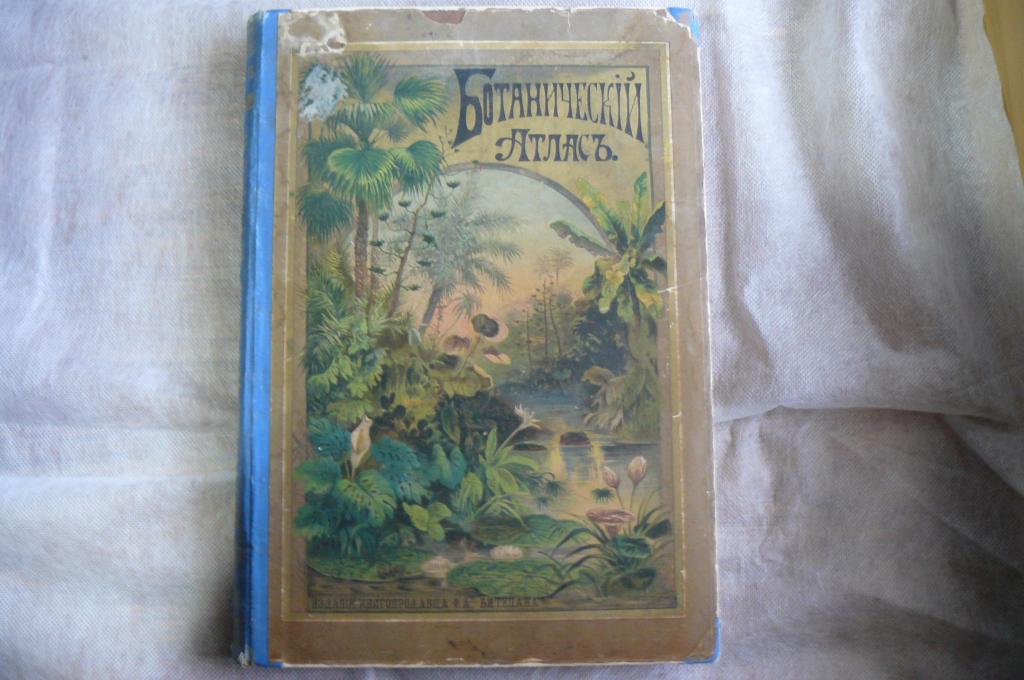Ботанический атлас Шуберта. 1887 г.