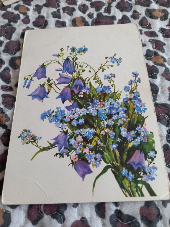 ОТКРЫТКА "КОЛОКОЛЬЧИКИ И НЕЗАБУДКИ" И.Масленникова 1963