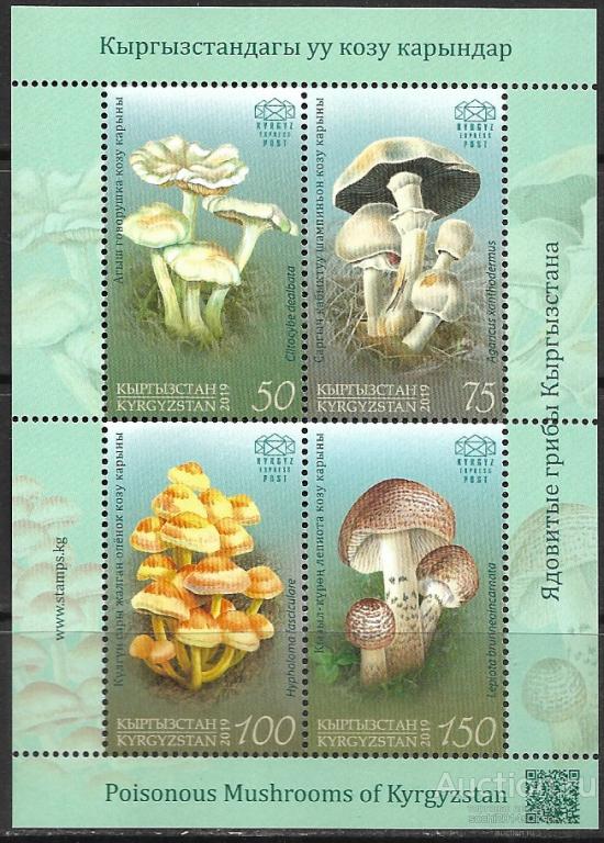 Киргизия. 2019 год. Флора. Грибы Кыргызстана. Блок