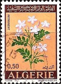 Алжир 1972 MiNr 589 Цветы. Жасмин. (0.5 €) U