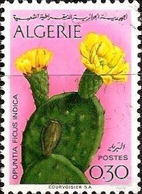 Алжир 1969 MiNr 517 Цветы. Опунция. (0.6 €) U