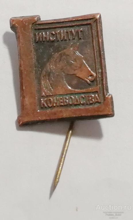 50 лет Институт коневодства Тяжелый (83067)