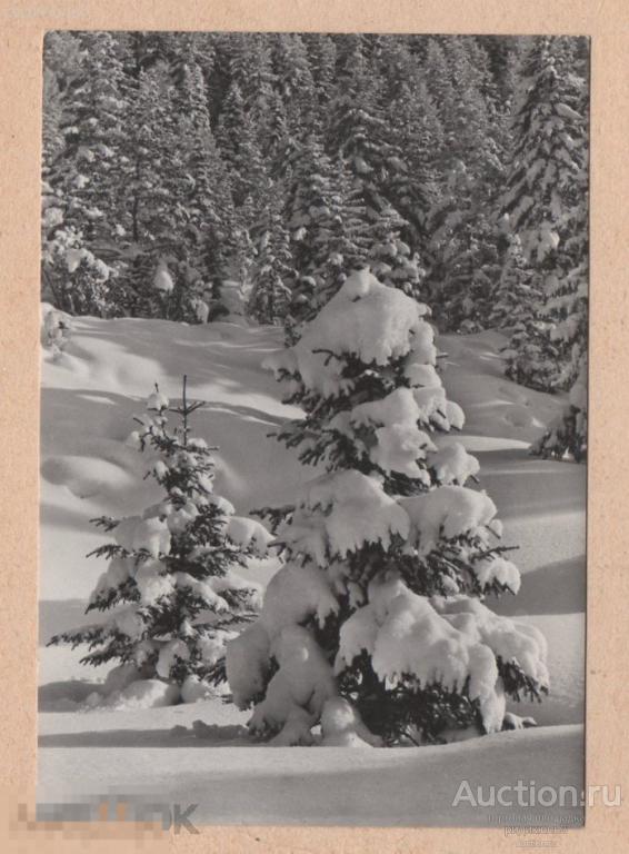 Зимний пейзаж штемпель международное марка Болгария 1960-е 