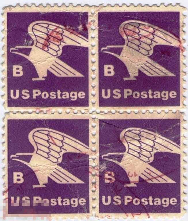 США 1981 г. Стандарт Фауна Орел Природа Экология Квартблок 