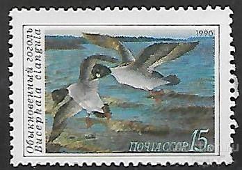 СССР. 1990. Утки. Обыкновенный гоголь. Чистая.