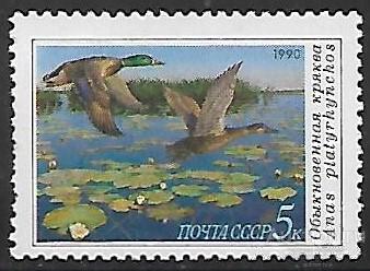 СССР. 1990. Утки. Обыкновенная кряква. Чистая.