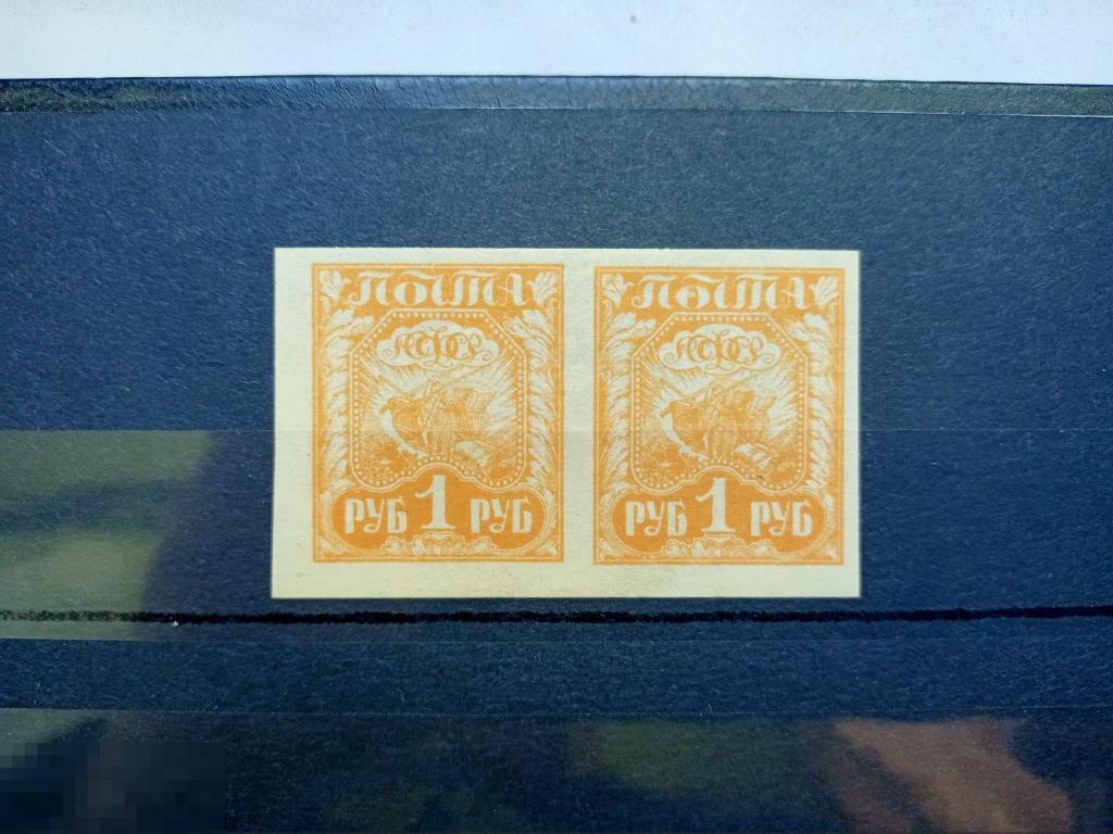 РСФСР 1921 год,1 рубль пара Стандарт  руб 
