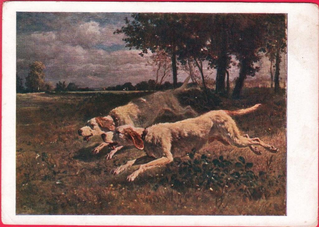 Документы для подружейной собаки. Русский охотничий спаниель спаниели. Собака на охоте. Охотник с собакой. Охотничья собака с хозяином.