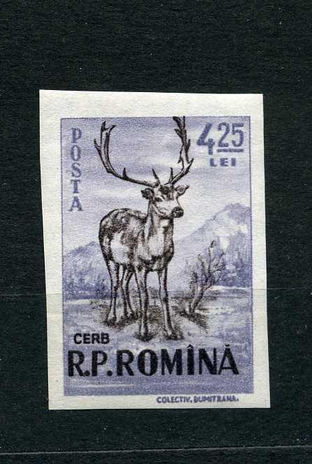 Румыния. Фауна. Животные. Млекопитающие. Благородный олень. Cervus elaphus. Б/З.1956.*