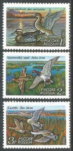 РОССИЯ 1992 УТКИ