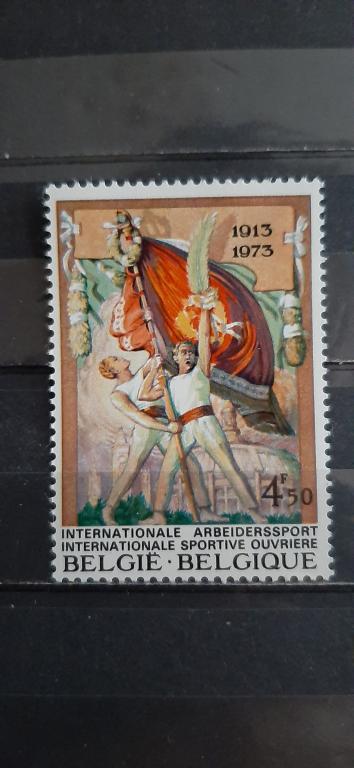 Бельгия живопись искусство плакат международный спорт 1973 **