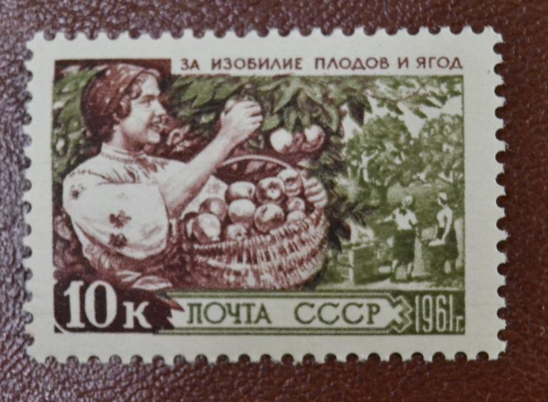 СССР 1961 год За изобилие плодов и ягод.Сбор Яблок MNH