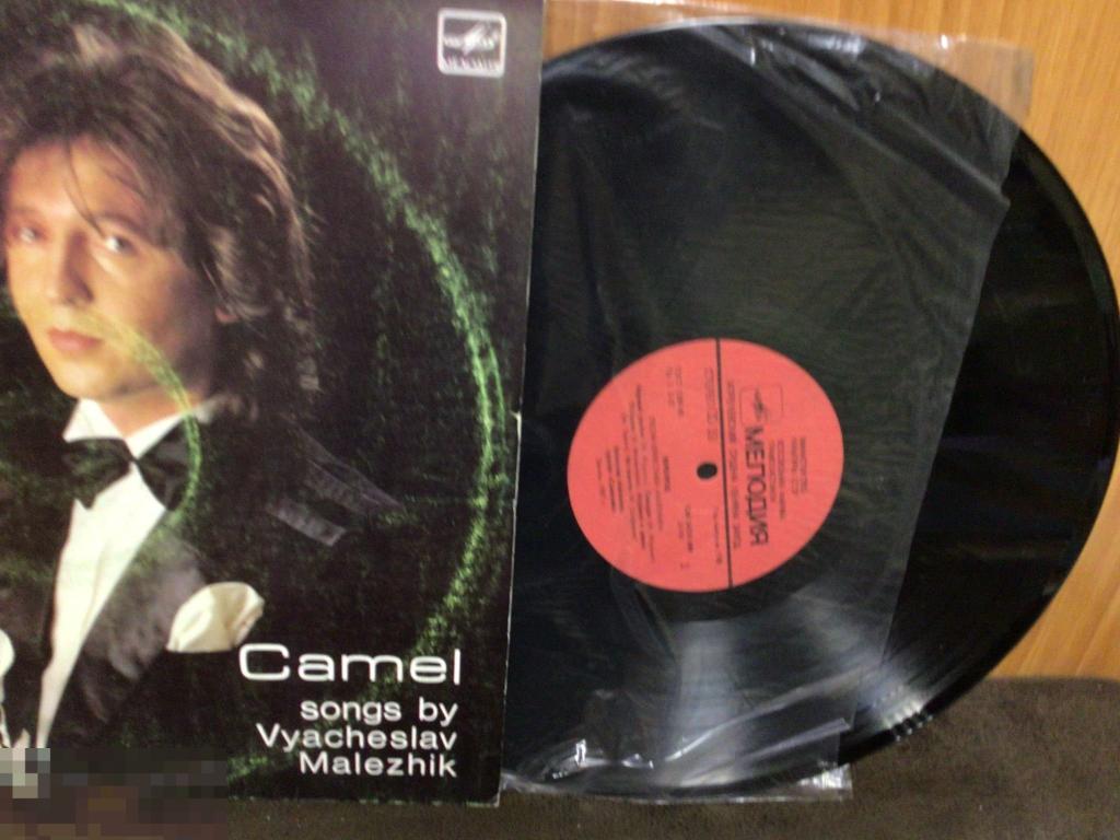 кафе «саквояж» вячеслав малежик. вячеслав малежик верблюд. вячеслав малежик 1988. малежик верблюд. малежик верблюд.