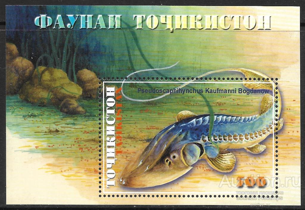 Таджикистан. Фауна, рыбы. 2 блока