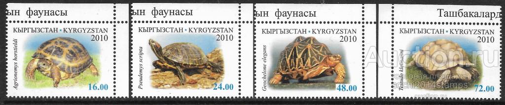 Киргизия. 2010 год. Фауна, черепахи. Серия
