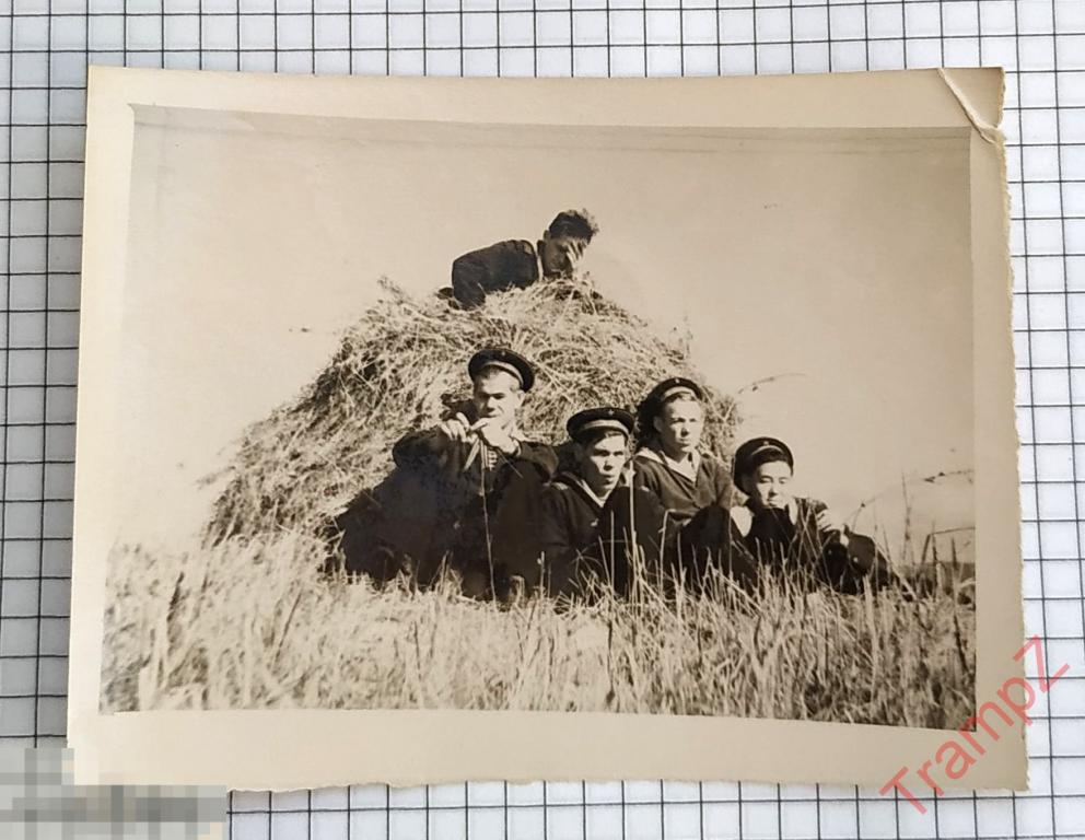 Фотография военнослужащие моряки матросы у сеновала, увольнение #38* 