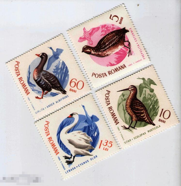 Румыния 1965 год. Фауна Птицы 4 марки из серии 