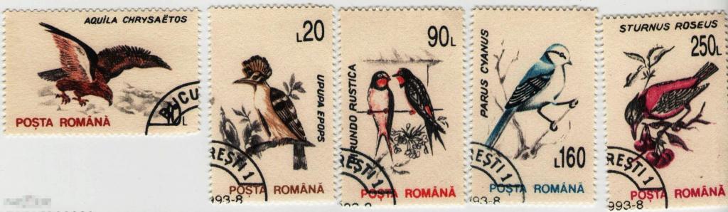 Румыния 1993 год. Фауна Птицы 5 марок из серии 