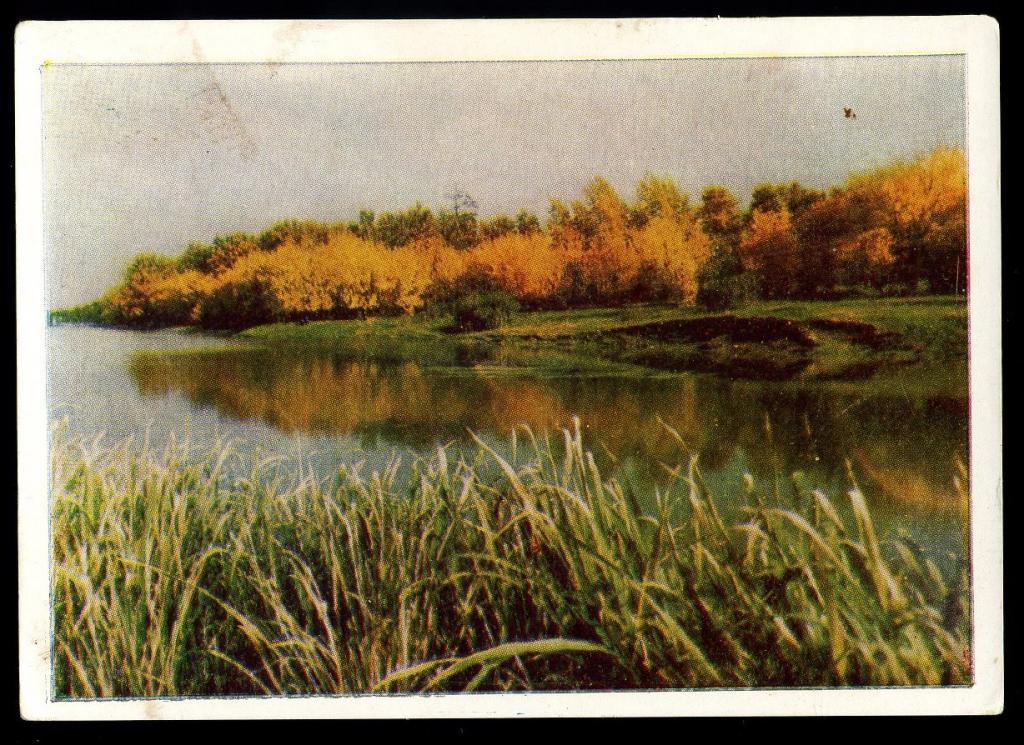 Подмосковье - Самсонов Г - 1963 год  (Л-7)