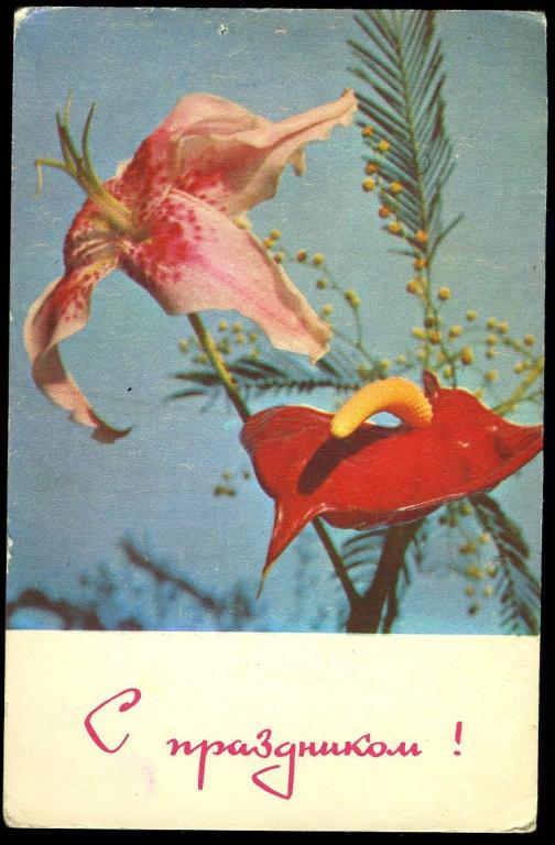 С праздником - Хоменко В - 1967 год  (Л-6)